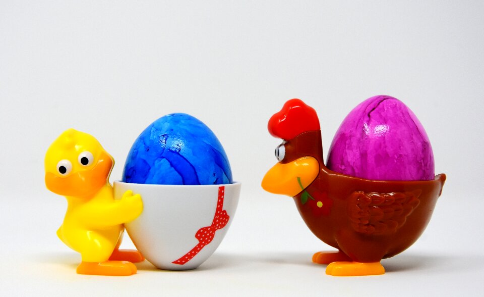 Egg cups funny colorful photo