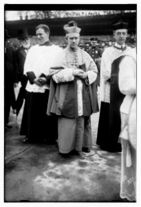 Rt. Rev. P.J. Hayes LCCN2014707090