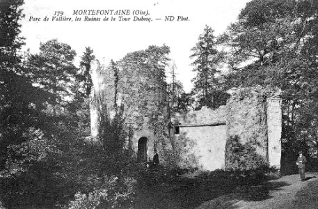 Ruines de la tour Dubosq
