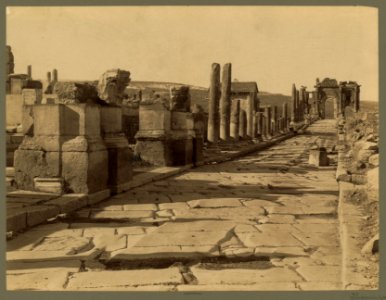Ruines Romaines de Thamugas. Voie triumphale - ND Phot. LCCN2004665080