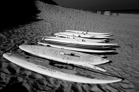 Sea surfer sw