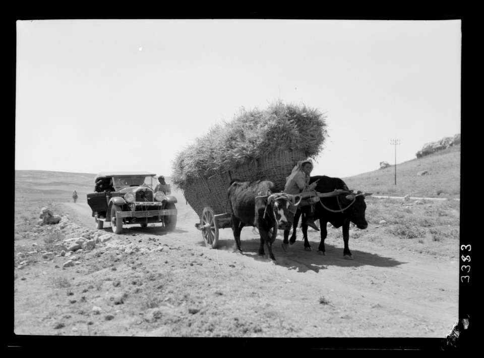 Ruins of Jerash (Gerasa). Circasian (i.e. Circassian), ox cart. Loaded with sheaves, overtaken by modern motor car LOC matpc.15312