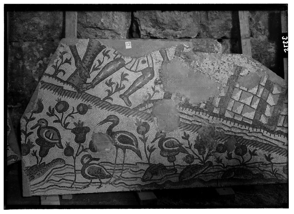 Ruins of Jerash (Gerasa). Jerash mosaic. Section showing river, water-fowl and flora. LOC matpc.02761