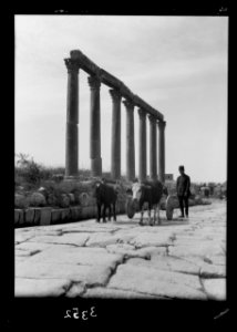 Ruins of Jerash (Gerasa). Jerash, colonnade along Main Street. An ancient type ox cart on pavement LOC matpc.15304