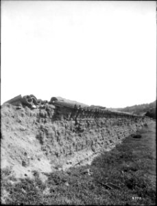 Ruins of an adobe wall at Mission San Antonio de Padua, California, ca.1906 (CHS-4377)