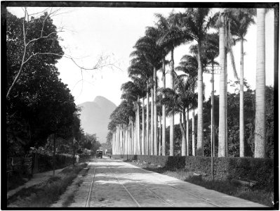 Rua Jardim Botânico - 1