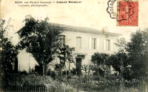 Ruch - domaine Maumelat 1