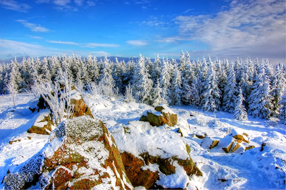 Season mountain wood