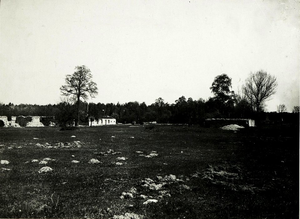 Ruine Janow. (BildID 15589099)