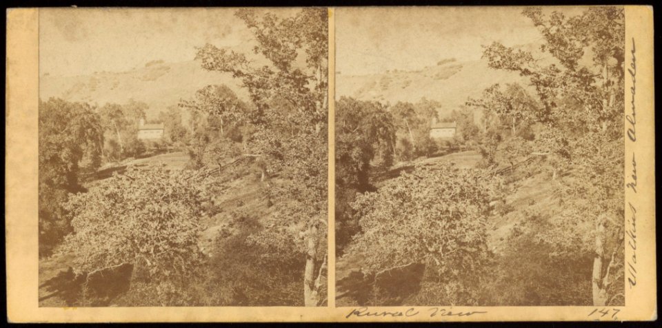 Rural view (147)
