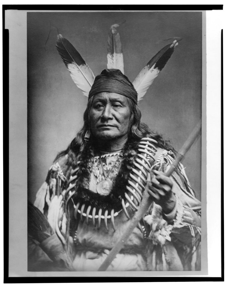 Rushing Eagle-Sioux LCCN2002716872