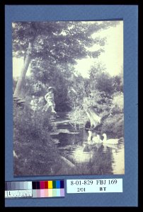 Rural scene with a young boy sitting on a tree stump watching ducks in the stream below LCCN2004676309