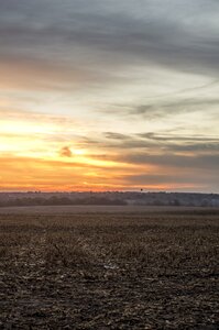 Dawn morning field photo