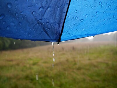 Wet variety weather