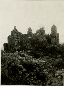 Ruinen bei Huszt (BildID 15716340)