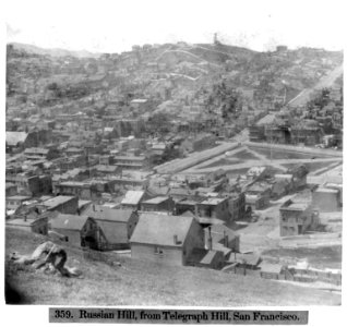 Russian Hill from Telegraph Hill, San Francisco LCCN2002723079
