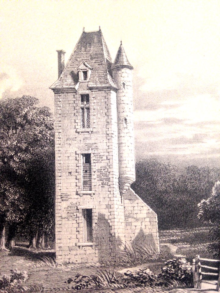 Ruines du château de La Baronnière