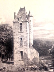 Ruines du château de La Baronnière