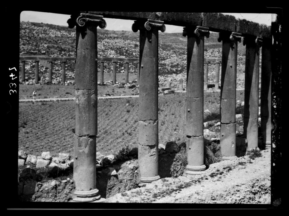 Ruins of Jerash (Gerasa). The Jerash Forum. A detail of the pillars and capitals LOC matpc.15303