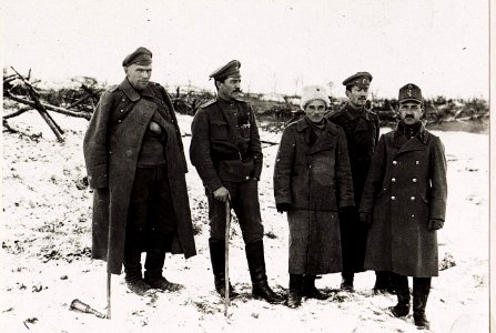 Russian officers with Austrian officers (BildID 4816485)