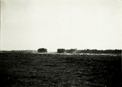 Russische Stellungen vor dem Waldrand nördlich von Siedlòw. Schwarze Punkte im weißen Randfeld sind Schießscharten. (BildID 15590106)