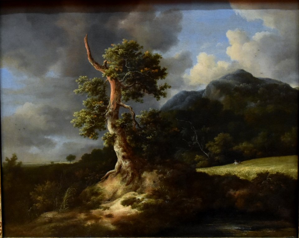 Jacob van Ruisdael, Mountainous Landscape with a Blasted Oak Tree and a Grainfield, 1660, National Gallery, Oslo (36420468116) (cropped)