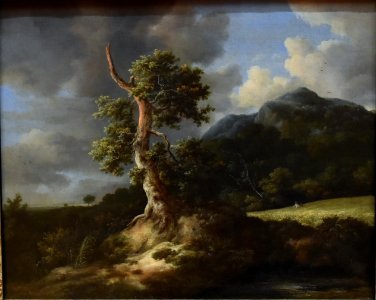 Jacob van Ruisdael, Mountainous Landscape with a Blasted Oak Tree and a Grainfield, 1660, National Gallery, Oslo (36420468116) (cropped) photo