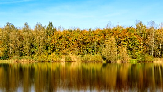 Landscape water trees photo