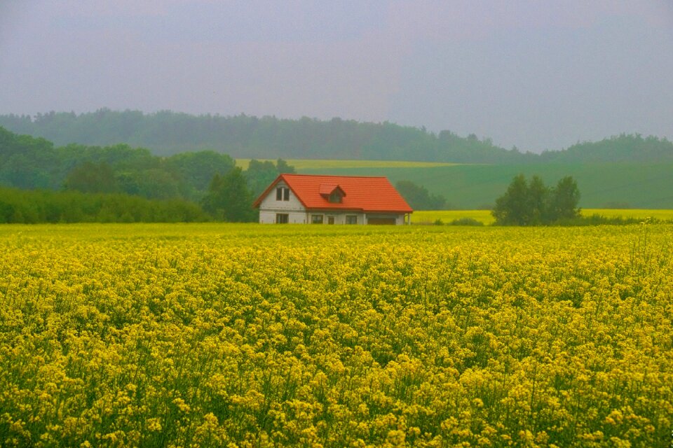 Cottage beautiful landscape field