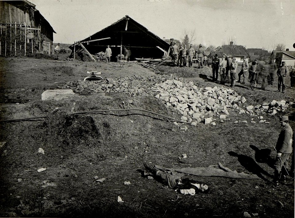 Russische Fliegerbomben Wirkung. Ein Mann, 6 Pferde tot. Aufgenommen am 30.III.1916. BUCZACZ. (BildID 15536513)