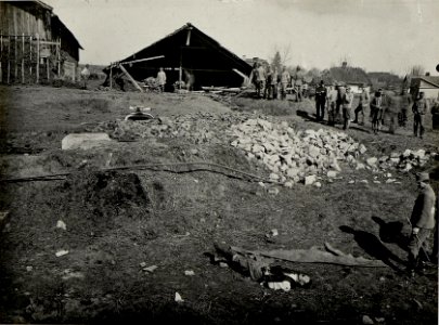Russische Fliegerbomben Wirkung. Ein Mann, 6 Pferde tot. Aufgenommen am 30.III.1916. BUCZACZ. (BildID 15536513)