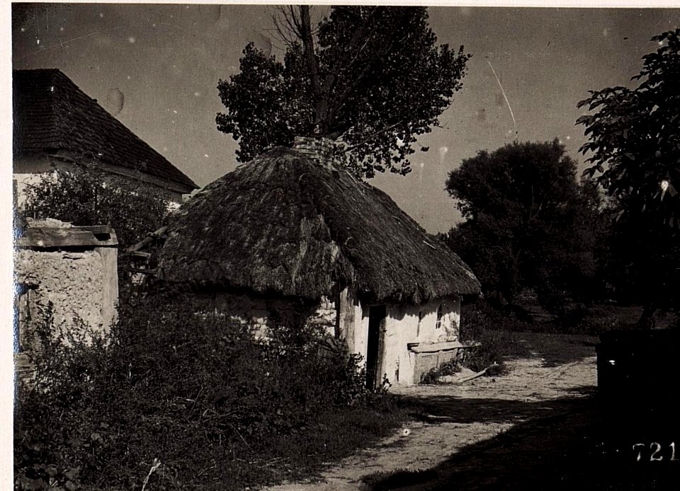 Russische Hütte bei Wladimir Wolinsky (BildID 15709583)