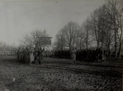 Rumänisch österreichisch Angehörige bei der Eidesleistung für Kaiser Karl I, Dezember 1916 (BildID 15455422)