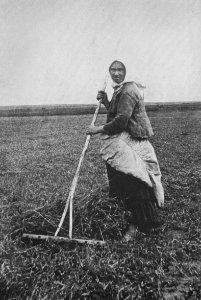 Russischer Photograph - Feldarbeit (Zeno Fotografie)