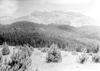 Rundblick auf der Alp Stavelchod vom Piz Tuorn bis zum Piz Nair - CH-BAR - 3239901