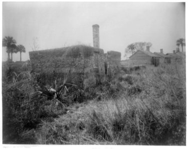 Ruins of the slave cabins, Ft. George Island, Florida LCCN2003677362