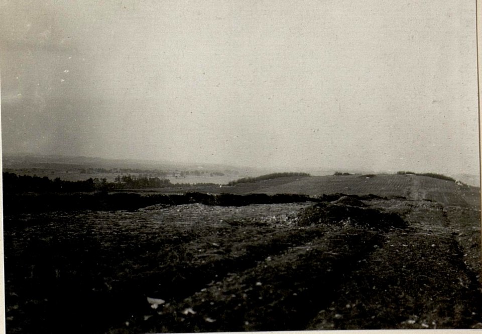 Russ. Schützengräbenwestlich von Kotovice nördl. der Strasse. (BildID 15537584)