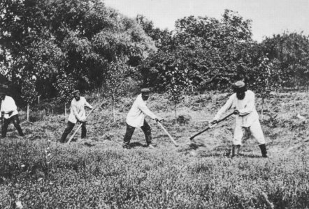 Russischer Photograph um 1890 - Dreschen und Heumachen (1) (Zeno Fotografie)