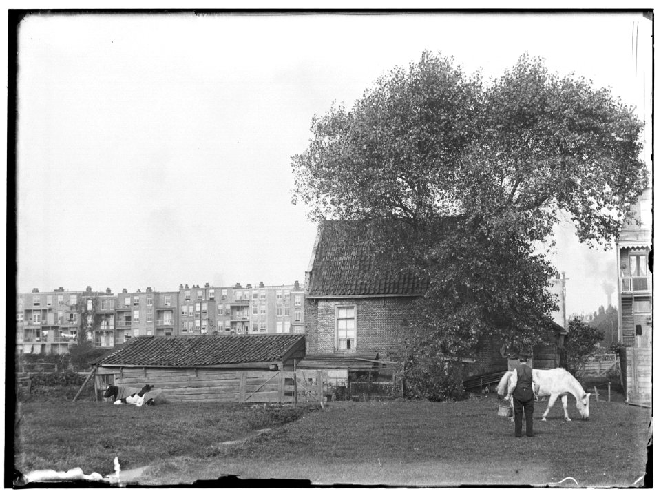 Rustenburgerstraat in spiegelbeeld Jacob Olie (max res)