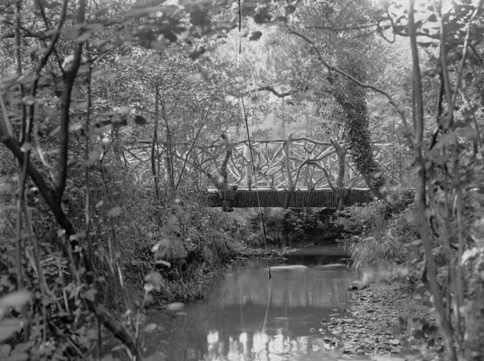Rustic Bridge, Roath Park (4641640)