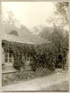 Rusakovičy, Weyssenhoff. Русаковічы, Вэйсэнгоф (1900-14) (2)