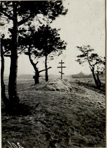 Russ. Soldatengräber in Wolbrom. (BildID 15539271)