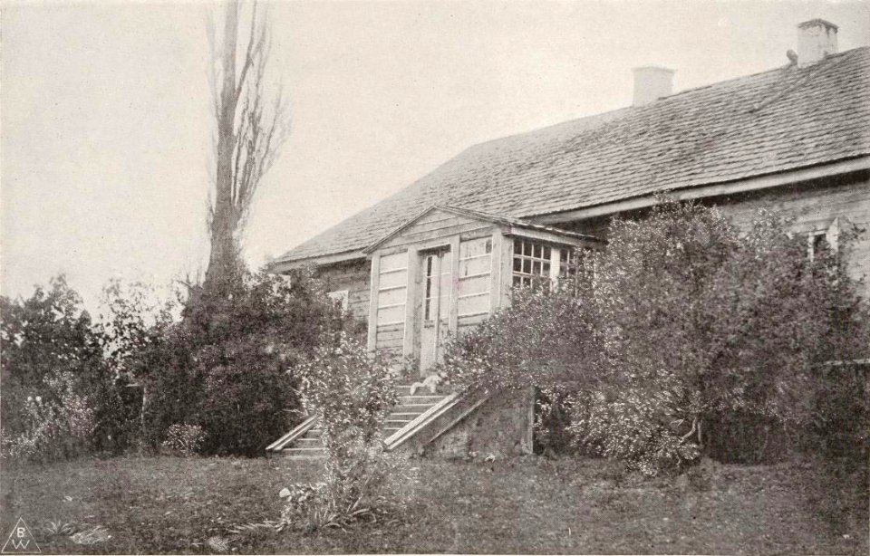 Ruta, Putkamier. Рута, Путкамер (T. Boretti, 1900)