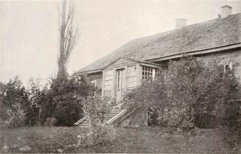 Ruta, Putkamier. Рута, Путкамер (T. Boretti, 1900)