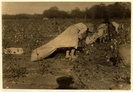 Ruth. See preceding labels (e.g., -3551). LOC nclc.00200