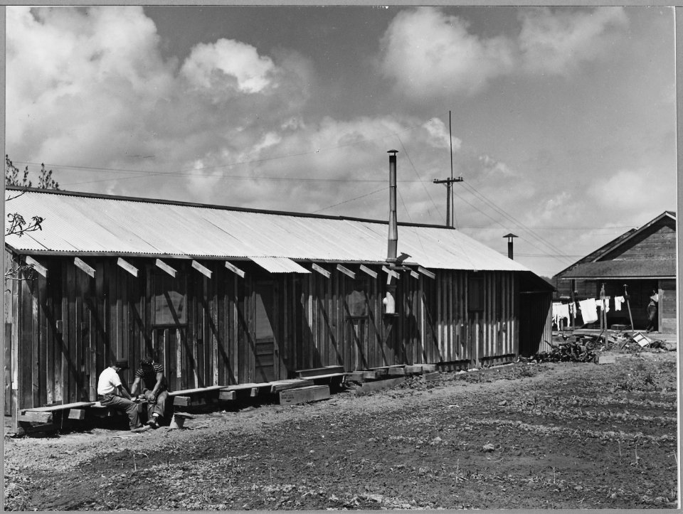 Ryer Island, Sacramento County, California. Housing in barracks for Japanese crew of asparagus packe . . . - NARA - 521706
