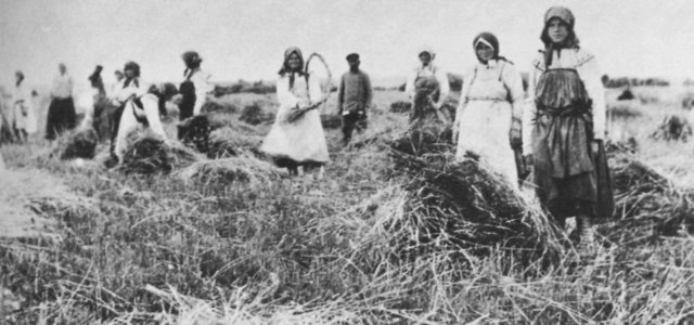 Russischer Photograph - Dreschen (Zeno Fotografie)