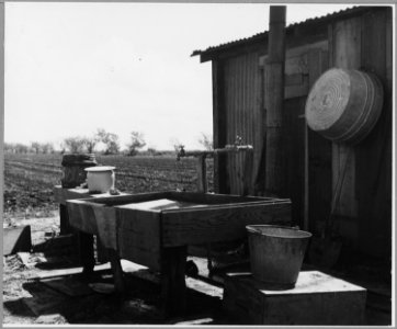 Ryer Island, Sacramento County, California. Facilities in grower's camp for Filipino asparagus field . . . - NARA - 521707