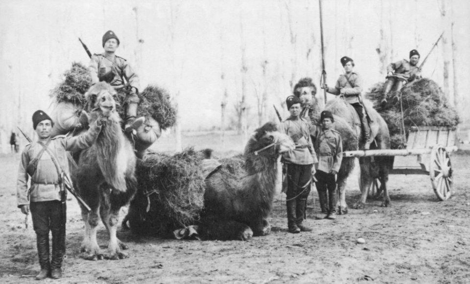 Russischer Photograph - Orenburger Kosaken (Zeno Fotografie)