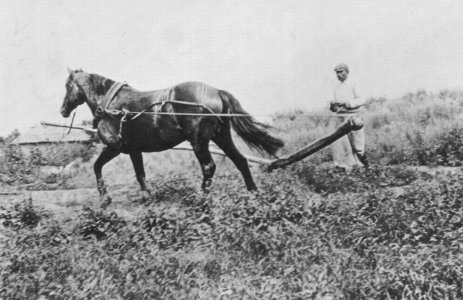 Russischer Photograph um 1890 - Dreschen und Heumachen (2) (Zeno Fotografie)